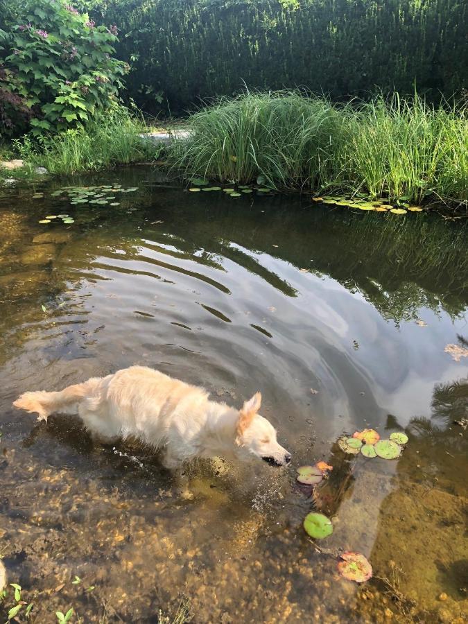 Millies Hosting - Familienurlaub Mit Hund In Kaernten Sankt Paul im Lavanttal Zewnętrze zdjęcie