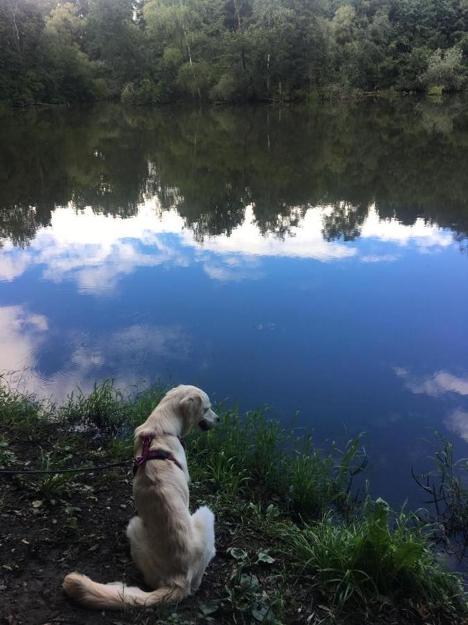 Millies Hosting - Familienurlaub Mit Hund In Kaernten Sankt Paul im Lavanttal Zewnętrze zdjęcie