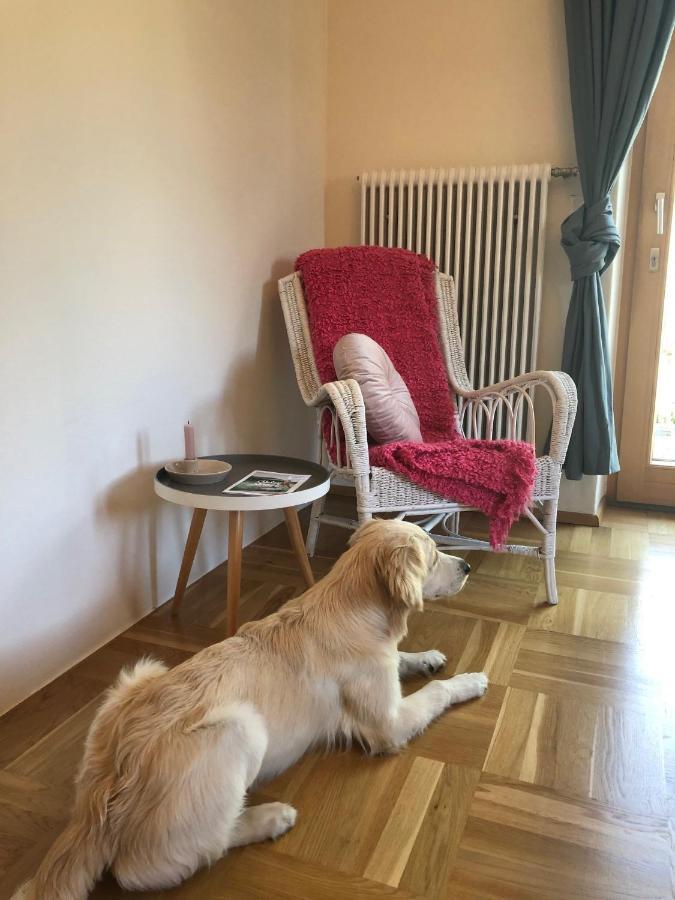 Millies Hosting - Familienurlaub Mit Hund In Kaernten Sankt Paul im Lavanttal Zewnętrze zdjęcie