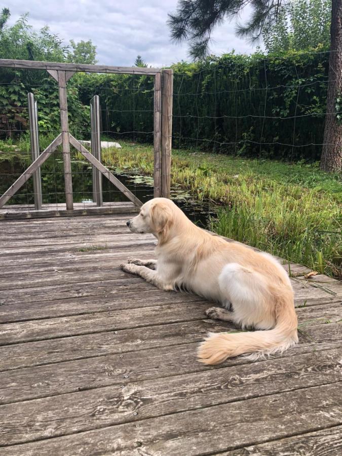 Millies Hosting - Familienurlaub Mit Hund In Kaernten Sankt Paul im Lavanttal Zewnętrze zdjęcie